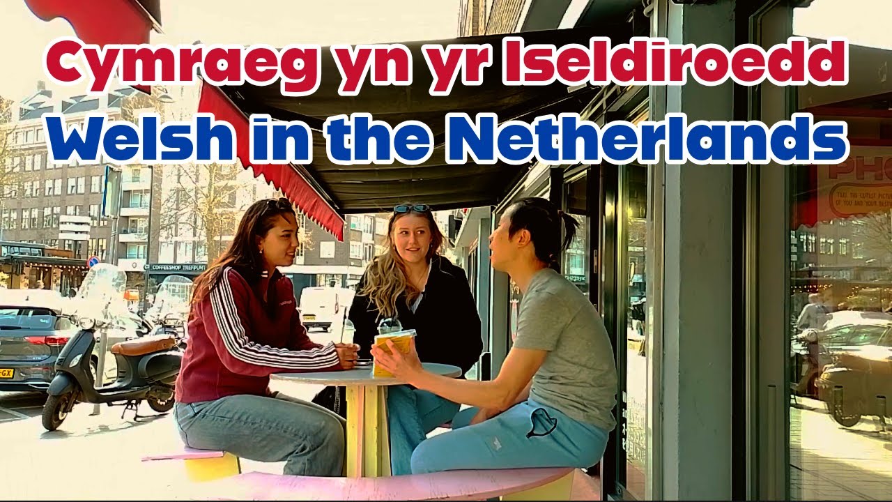 Насколько хорошо жители Роттердама и Гааги знают валлийский язык?