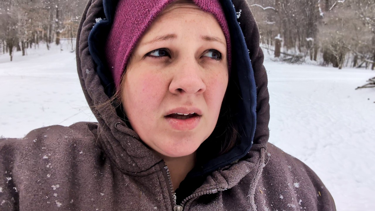 The Animals Are Miserable