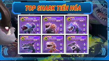 Top các shark tiến hóa trong game Hungry shark evolution.