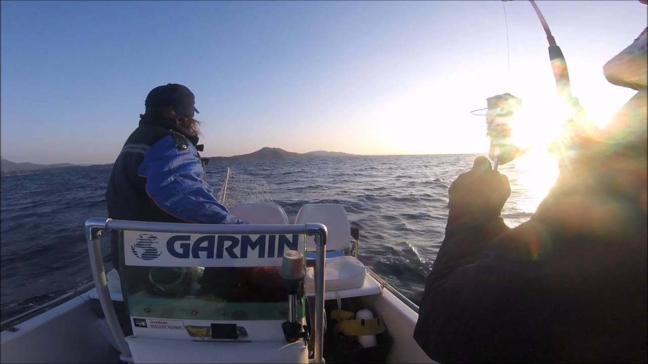 Pêche Bonite en Méditérranée