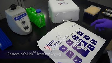 oYo-Link® Site-specific Antibody Conjugation: How it Works