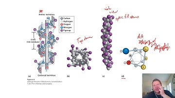 Chapter 4 - pt3: Secondary Structure