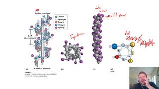 Chapter 4 - pt3: Secondary Structure