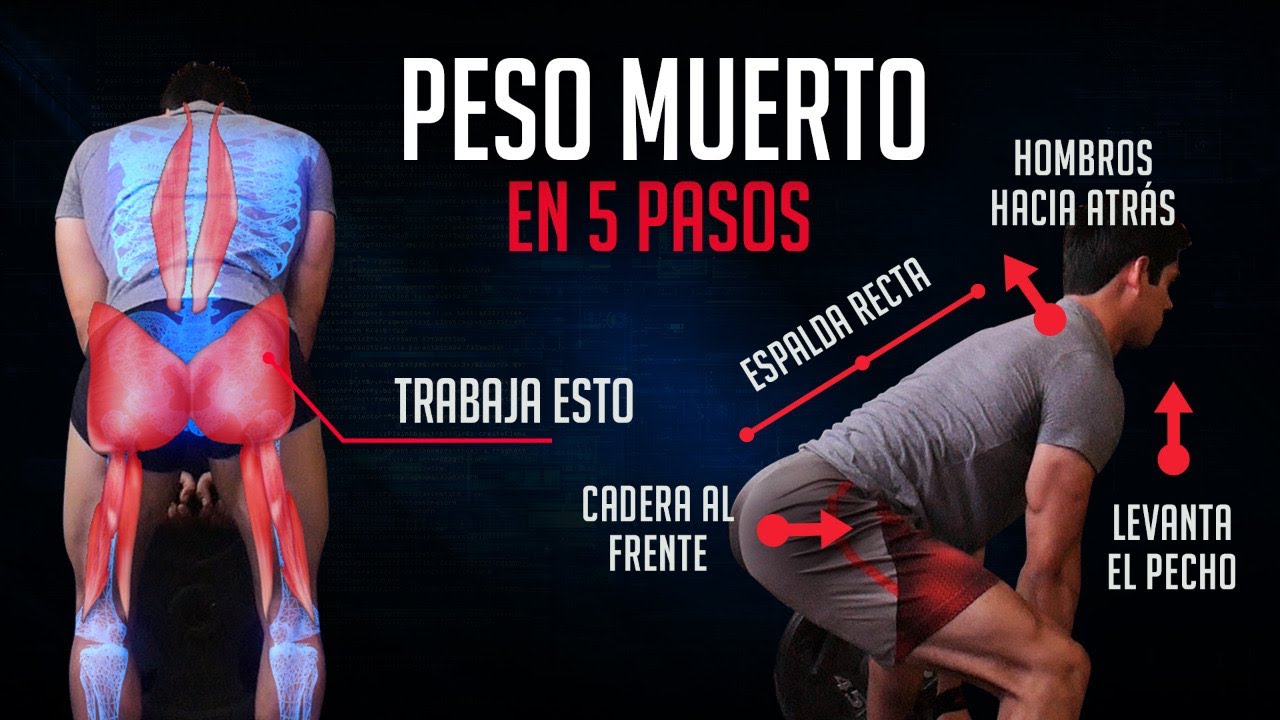 LOS 5 PASOS DEL PESO MUERTO PERFECTO / TÉCNICA DE LOS EJERCICIOS 