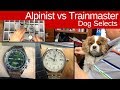 Seiko Alpinist vs Ball Trainmaster: Dog makes the selection