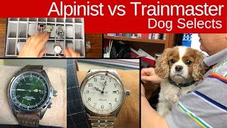 Seiko Alpinist vs Ball Trainmaster: Dog makes the selection Seiko Alpinist vs Ball Trainmaster: Dog makes the selection