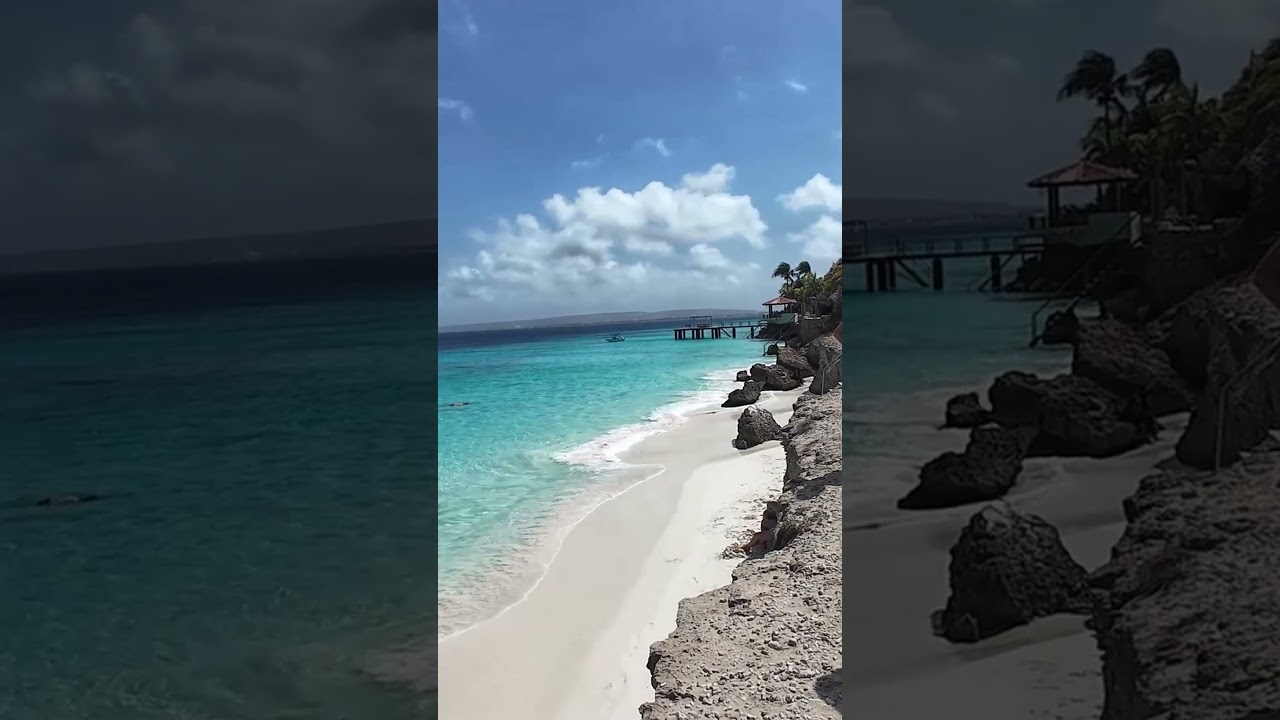Episode 56   Bonaire short 3