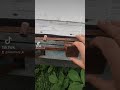 акацієвий мед #бджоли #пасіка #пасека