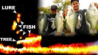 INSANE Video Game Fishing TROPHY Crappie!! --Garmin Panoptix LiveScope screenshot 4