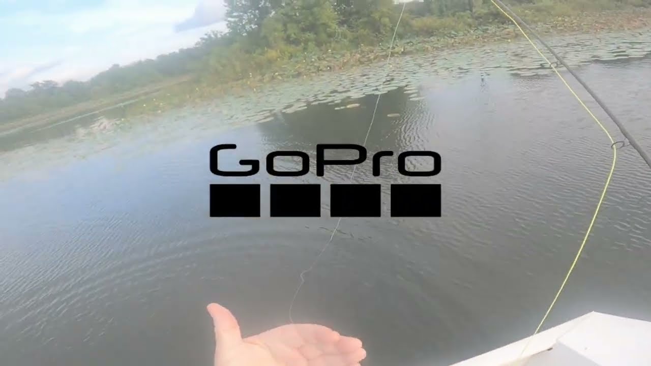 Lilly pad bassin'  little fish big fun! alex@flyfishfork.com Poppin out the little fella's