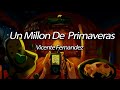 Vicente Fernández - Un Millón de Primaveras (Lyrics)