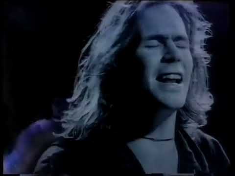 Hothouse Flowers   I Can See Clearly Now Official Video
