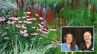 Native Plants at Noon January 2022