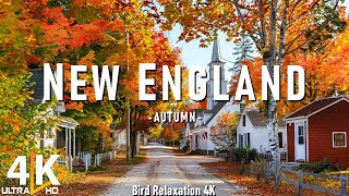 New England 4K Amazing Autumn Film - Calming Piano Music - Natural Landscape