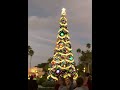 New christmas tree disneys hollywood studios park