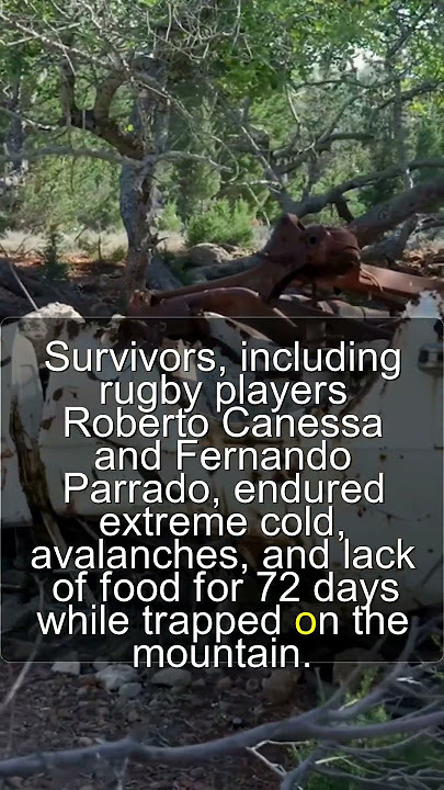 the story of ultimate #survival ! andes #planecrash ! #alive