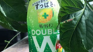 【ポッカキレートレモンW】新商品紹介企画