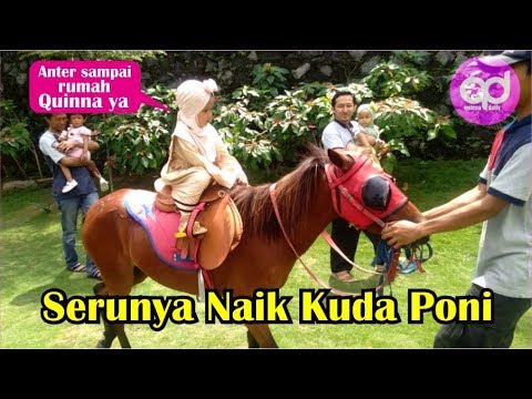 serunya-naik-kuda-poni,-imut-dan-lucu,-pengin-di-bawa-pulang-ke-rumah