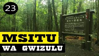 MSITU WA GWIZULU - 23 Season01