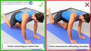 Closed Chain Shoulder Protraction Strength 2 1