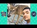 Try not to laugh  cold game kelv brother nature  deer squad