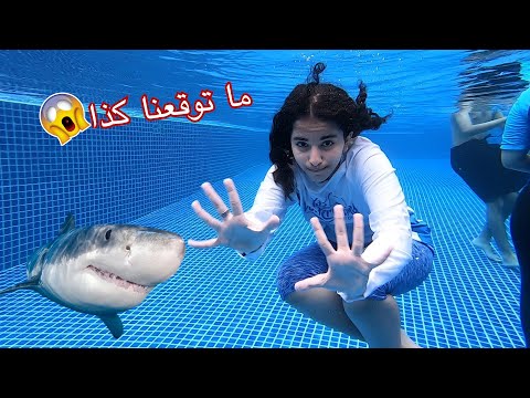 سكنا في جزيره كلها اسماك قرش ودلافين صدمة 4 عصابة بدر