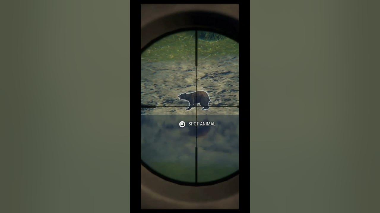 new-ar-300-does-work-3-bears-down-cotw-callofthewild