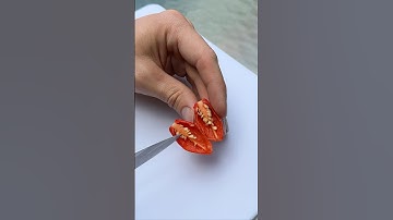 Crossbreeding peppers to make a new variety