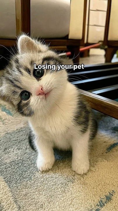 Times when life hits different