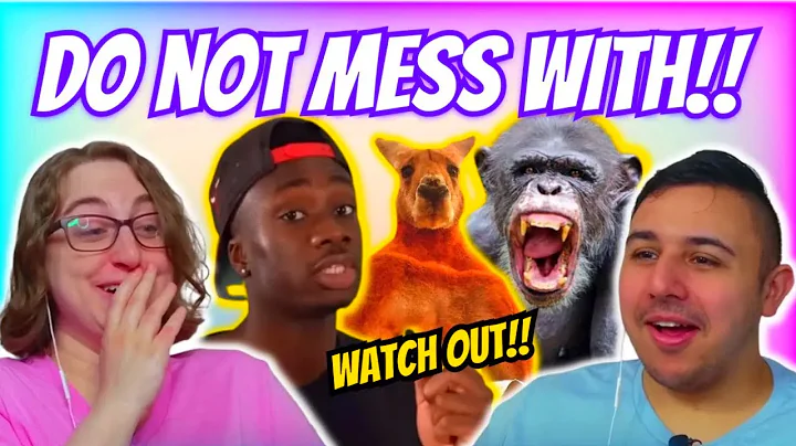 Casual Geographic - Top 10 animals with BLACK AIR FORCE ENERGY | Eli and Jaclyn REACTION!!