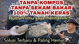 Hanya modal TANAH!! , Media Tanam Cabai Paling extreem di dunia!!