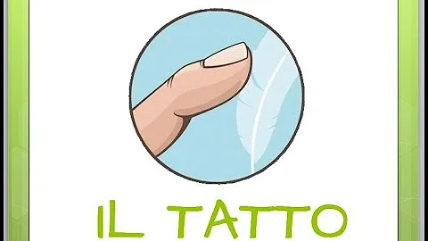Come spiegare il tatto?
