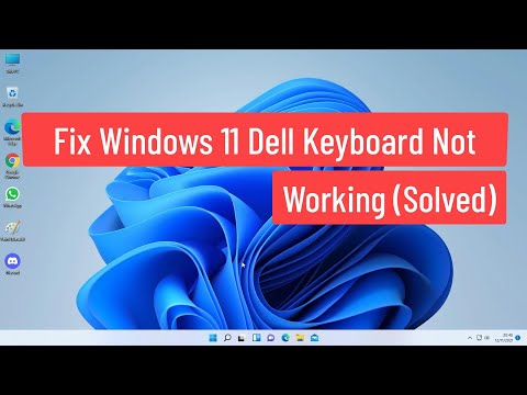 Fix Windows 11 Dell Keyboard Not Working Solved