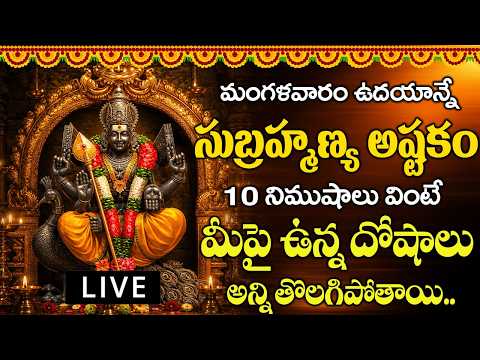 మంగళవారం ఉదయాన్నే స్కంద అష్టకం10 నిముషాలు వింటే మీపై ఉన్న దోషాలు అన్నిపోతాయి.. | SUBRAMANYA ASHTAKAM