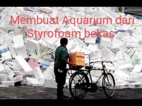 Membuat aquarium dari limbah  styrofoam bekas YouTube