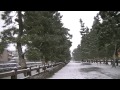 日本の名勝　草加松原の雪景色