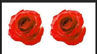 How To Edit Photo Editing #74ami #How_To_Joint_Picture #Picture_Editing #wonderful