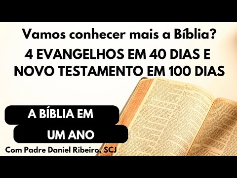VAMOS CONHECER MAIS A BÍBLIA? 4 EVANGELHOS EM 40 DIAS E NOVO TESTAMENTO EM 100 DIAS 