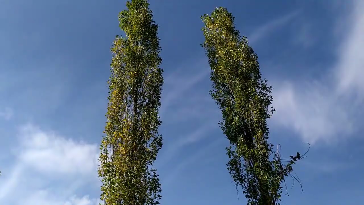 Bahçede sebze yatakları , Baharat spirali hazırlıyoruz!! Kazanda çamaşır yikadik.. ( Bahçe turu )