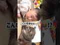 こんな奇跡ある😭⁉️【猫と赤ちゃん】