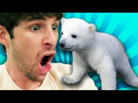 POLAR BEAR IN OUR MAIL?!