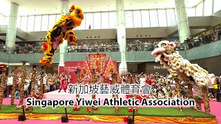 Experience the Power and Grace of Yiwei Lion Dance at Marina Square