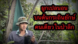 1 คืน ผูกเปล นอนคนเดียว ในป่าลึก (พักผ่อนรับลมเย็น) ตอนที่ 102  (4K)