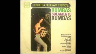 Video thumbnail of "Orquesta Serenata Tropical - Lamento borincano"