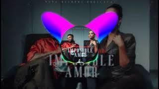 Natti Natasha x Maluma Imposible Amor [Official Audio]