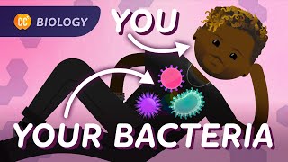 Were Full Of Bacteria Crash Course Biology 