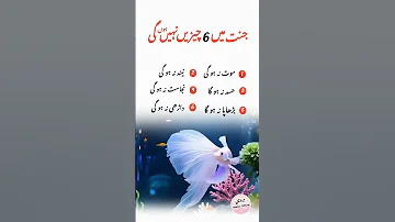 6 Cheezay Janat Me Nahi Hun Gi Six Things That Would Not Be Find In Heaven Quotes On Heaven 