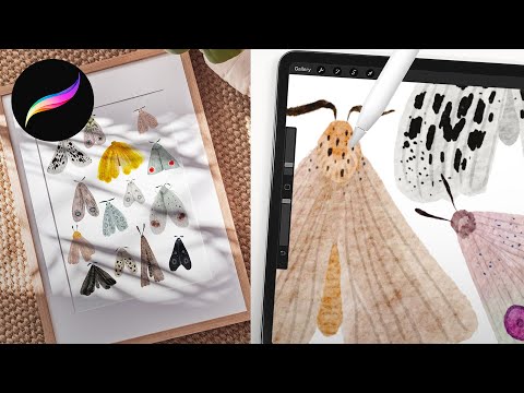 paint cute little moths in minutes // procreate watercolor tutorial // how to paint a moth