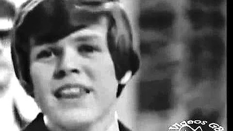 Herman's Hermits   There's A Kind Of Hush 1967