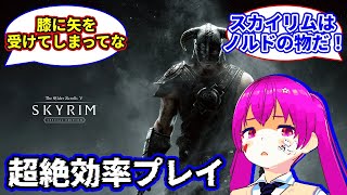 : VtuberSkyrim